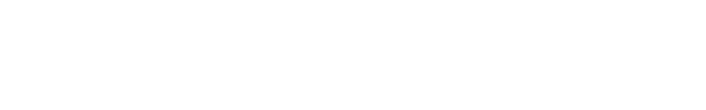 Literary Review